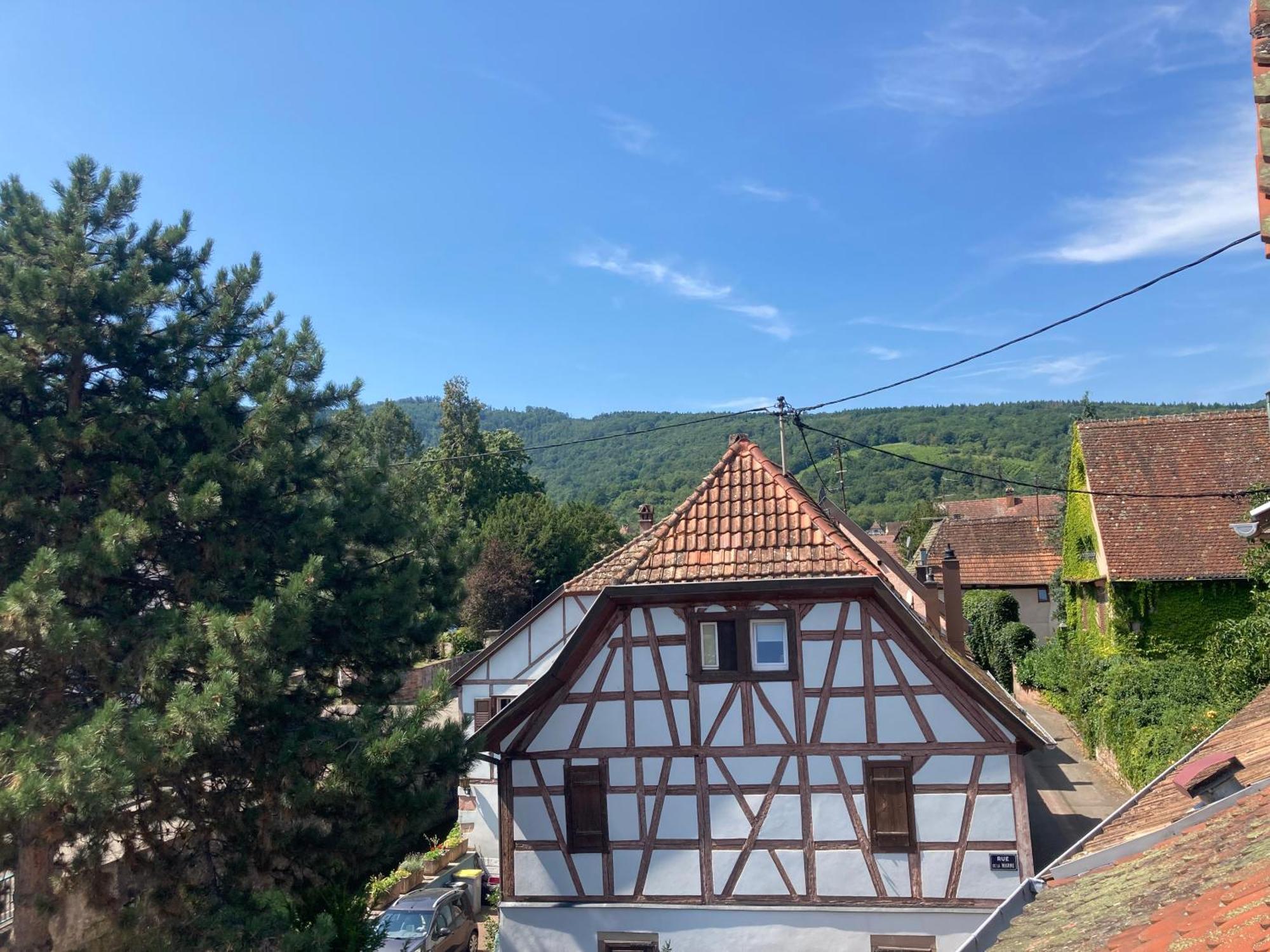 La Bonneterie Hotel Andlau-au-Val Екстериор снимка